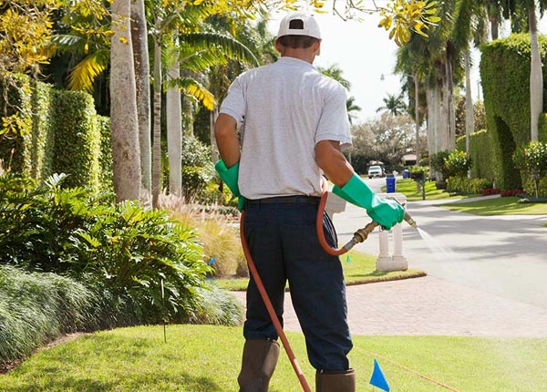 About Houston TX Pest Control Pros